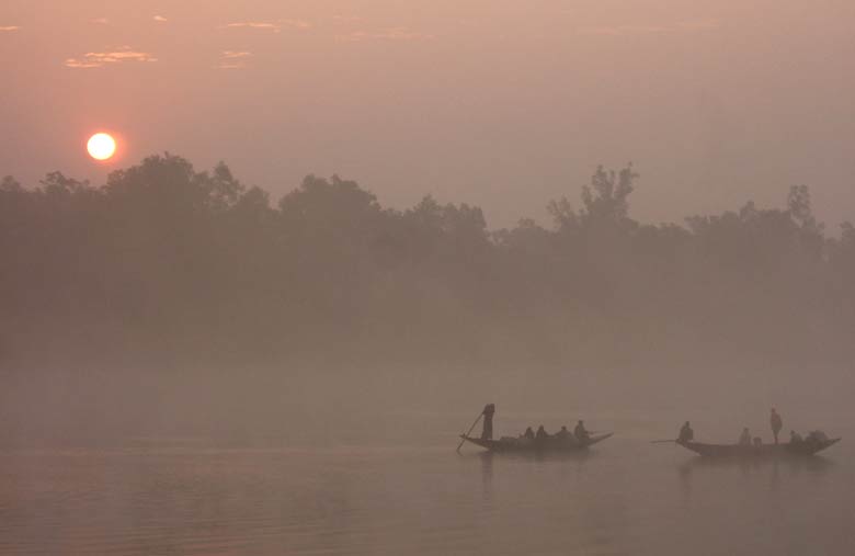 Aufgehende Sonne über dem Sundarban-Urwald