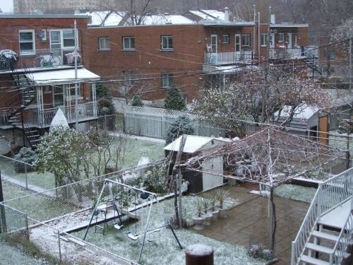 Erster Schnee in Montrealer Gärten. Foto: Paul Morf Gronert